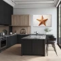 Wall Art titled: The Starfish in a Horizontal format with: Brown, and Beige Colors; Decoration the Kitchen wall
