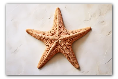 Cuadro Titulado: La estrella del mar